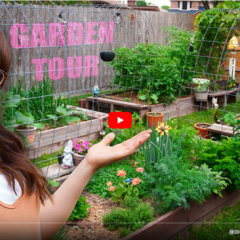 A Colorful Oasis of Fruits, Vegetables, and Flowers