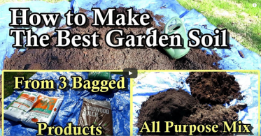Affordable and High-Quality Soil Mix for Your Garden