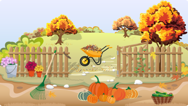 Autumn Vegetable Gardening