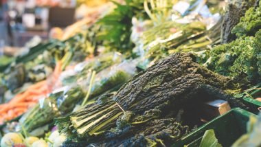 Autumn Vegetable Gardening Tips