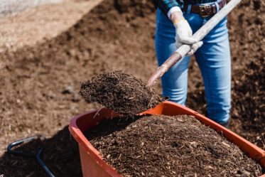 Composting: Benefits for Your Garden