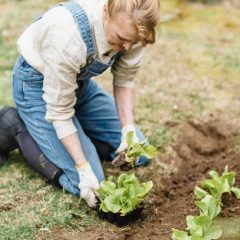Cultivate a Flourishing Garden for Every Season