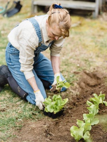 Cultivate a Flourishing Garden for Every Season