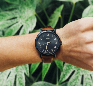 Efficient Gardening Time Organization