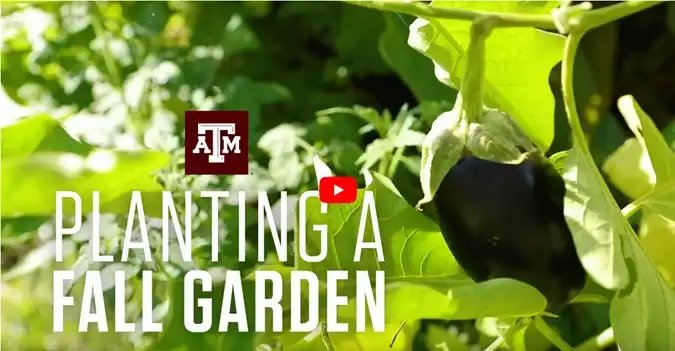 Fall Gardening Tips