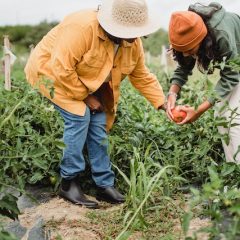 Family Gardening
