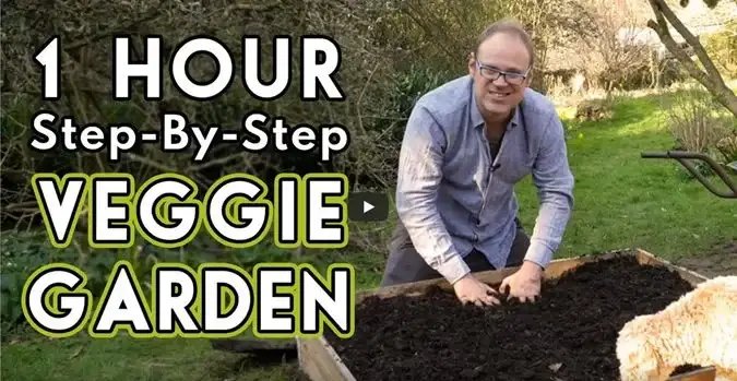 First Vegetable Garden Tips