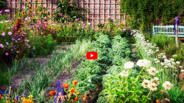 Garden Planning