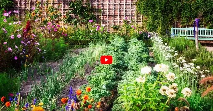 Garden Planning