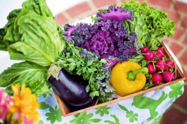 Home Vegetable Gardening