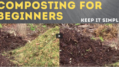 How to Make Compost Tutorial