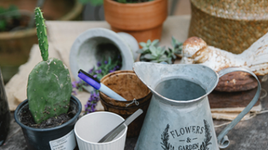 Perfect Residential Garden Planning