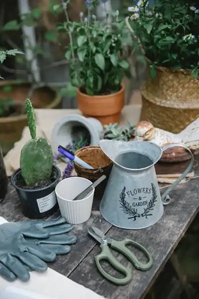 Perfect Residential Garden Planning