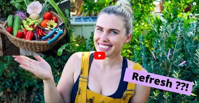 Seasonal Transitioning of Your Garden