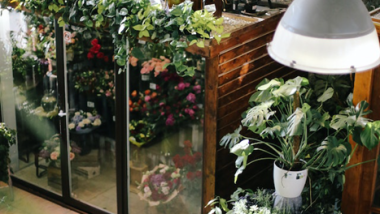 Small-Space Gardening