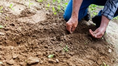 Starting a Garden from Seeds