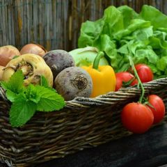 Starting a Vegetable Garden