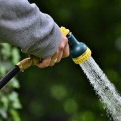 Strategies for Water Conservation in Your Garden