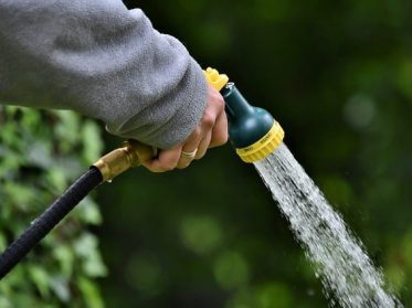 Strategies for Water Conservation in Your Garden