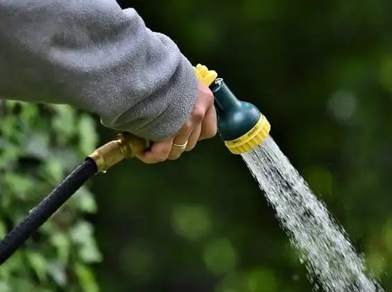 Strategies for Water Conservation in Your Garden