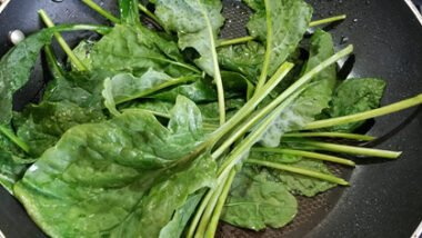 Growing Spinach