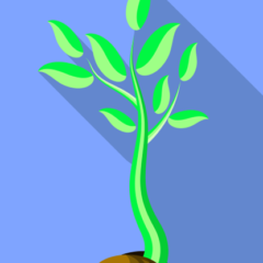 Unconventional Gardening Tips