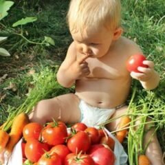 Low-Maintenance High-Yield Garden