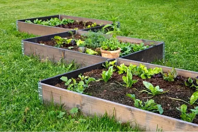 DIY Raised Garden Beds